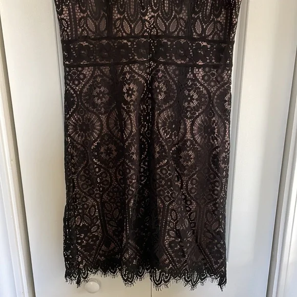 LOFT lace dress NWT $98 - Picture 9 of 10